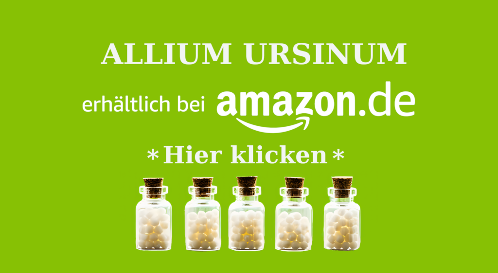 ALLIUM URSINUM AFFILIATE Wie Allium ursinum (Bärlauch) in der Homöopathie bei Verdauungsproblemen, Arteriosklerose und mehr helfen kann Homöopathie Leitfaden