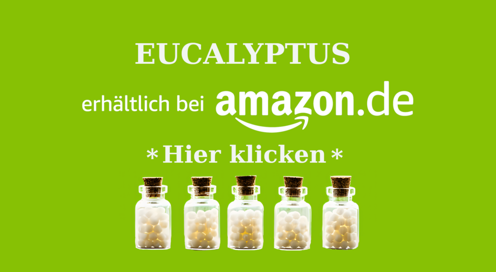 EUCALYPTUS CANADENSIS AFFILIATE Wie Eucalyptus in der Homöopathie bei Erkältung, Atemwegsproblemen und Husten helfen kann Homöopathie Leitfaden