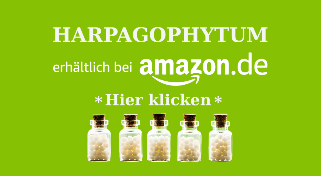 HARPAGOPHYTUM AFFILIATE Wie Harpagophytum (Teufelskralle) in der Homöopathie bei Gelenkbeschwerden, Rheuma, Gicht und Arthrose helfen kann Homöopathie Leitfaden