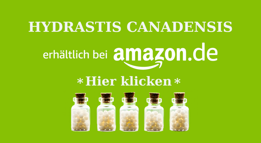 HYDRASTIS CANADENSIS AFFILIATE Wie Hydrastis canadensis (Kanadische Orangenwurzel) in der Homöopathie bei Schleimhautentzündungen und mehr helfen kann Homöopathie Leitfaden