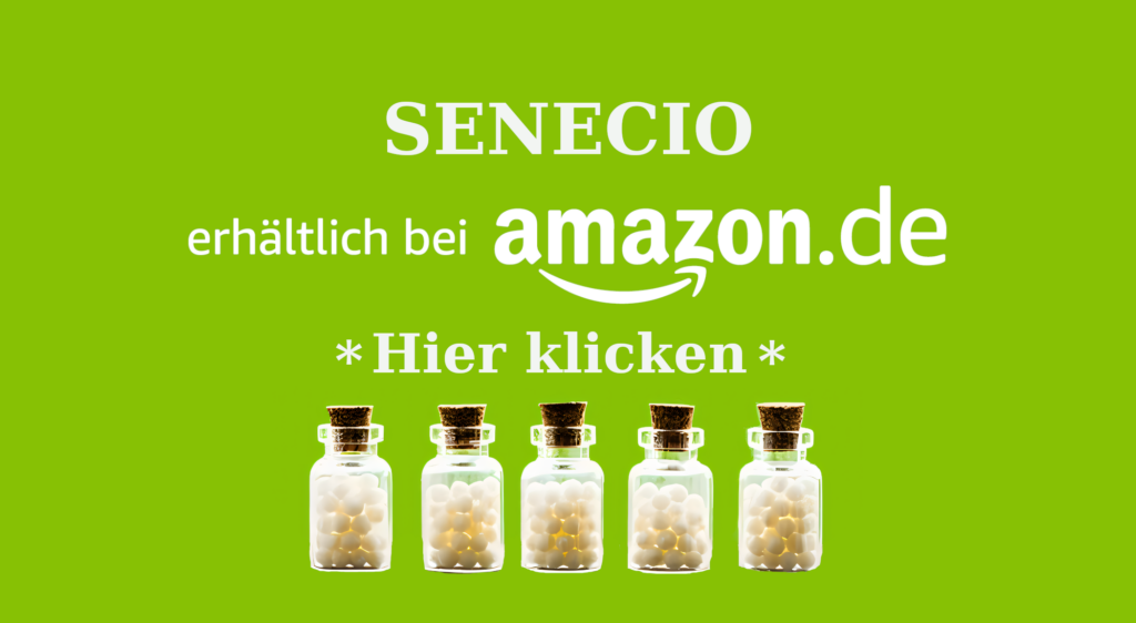 SENECIO AFFILIATE Wie Senecio (Greiskraut) in der Homöopathie bei Frauenbeschwerden und mehr helfen kann Homöopathie Leitfaden