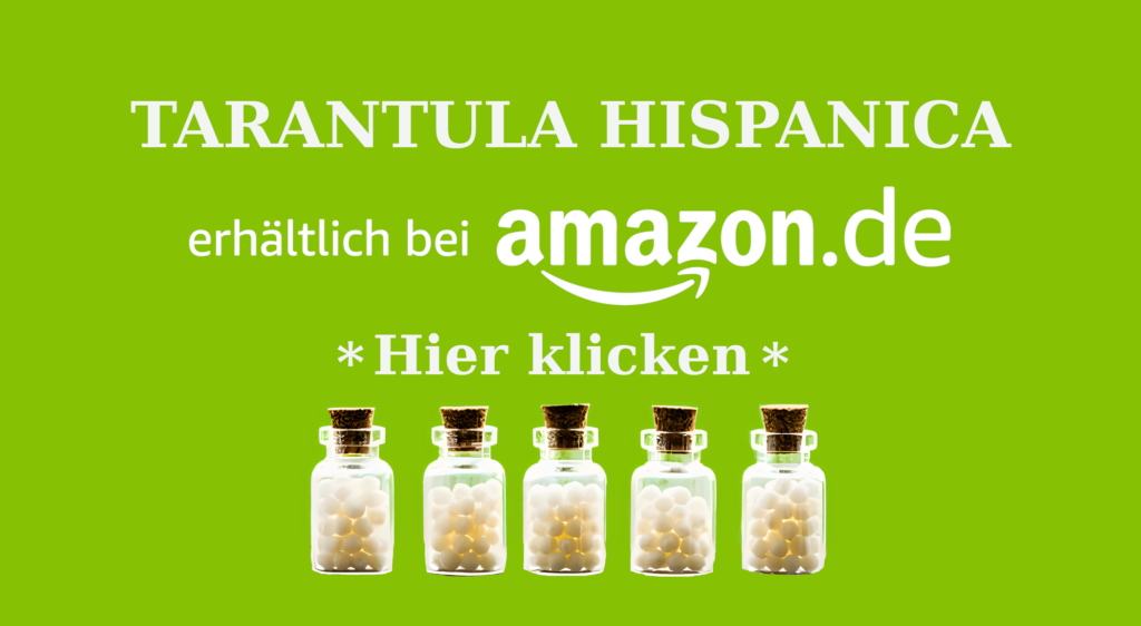 TARANTULA HISPANICA AFFILIATE Wie Tarantula (Tarantel) in der Homöopathie bei Hyperaktivität, Unruhe und mehr helfen kann Homöopathie Leitfaden