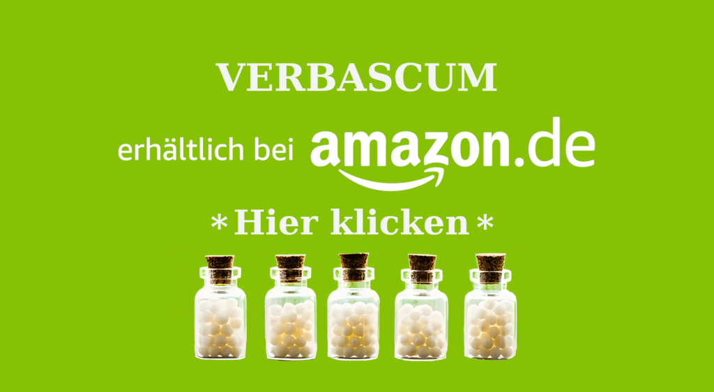 VERBASCUM AFFILIATE Wie Verbascum (Königskerze) in der Homöopathie bei Husten, Nervenschmerzen und mehr helfen kann Homöopathie Leitfaden